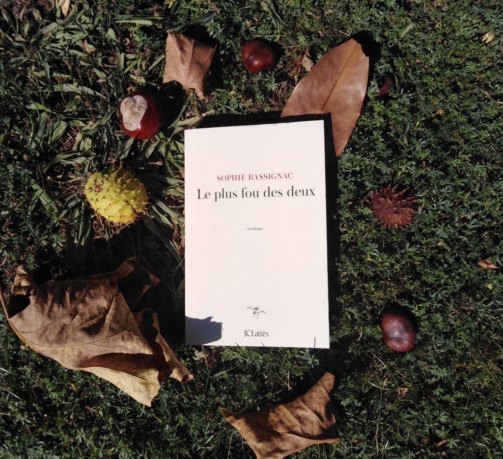 [CONCOURS] Remportez &laquo;&nbsp;Le plus fou des deux&nbsp;&raquo; de Sophie Bassignac&nbsp;!