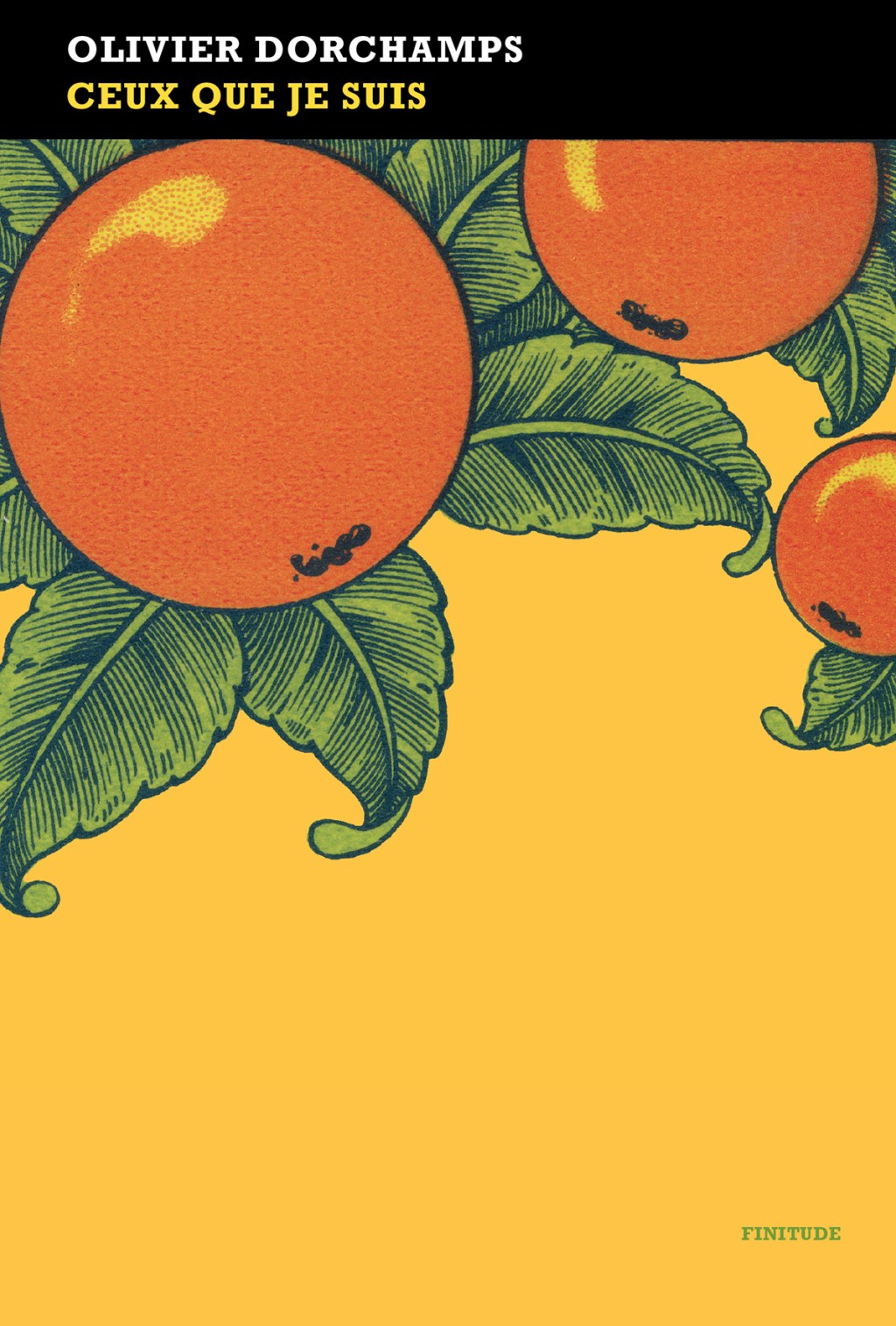 &laquo;&nbsp;Ceux que je suis&nbsp;&raquo; d&rsquo;Olivier Dorchamps : que je suis sous le charme&nbsp;!