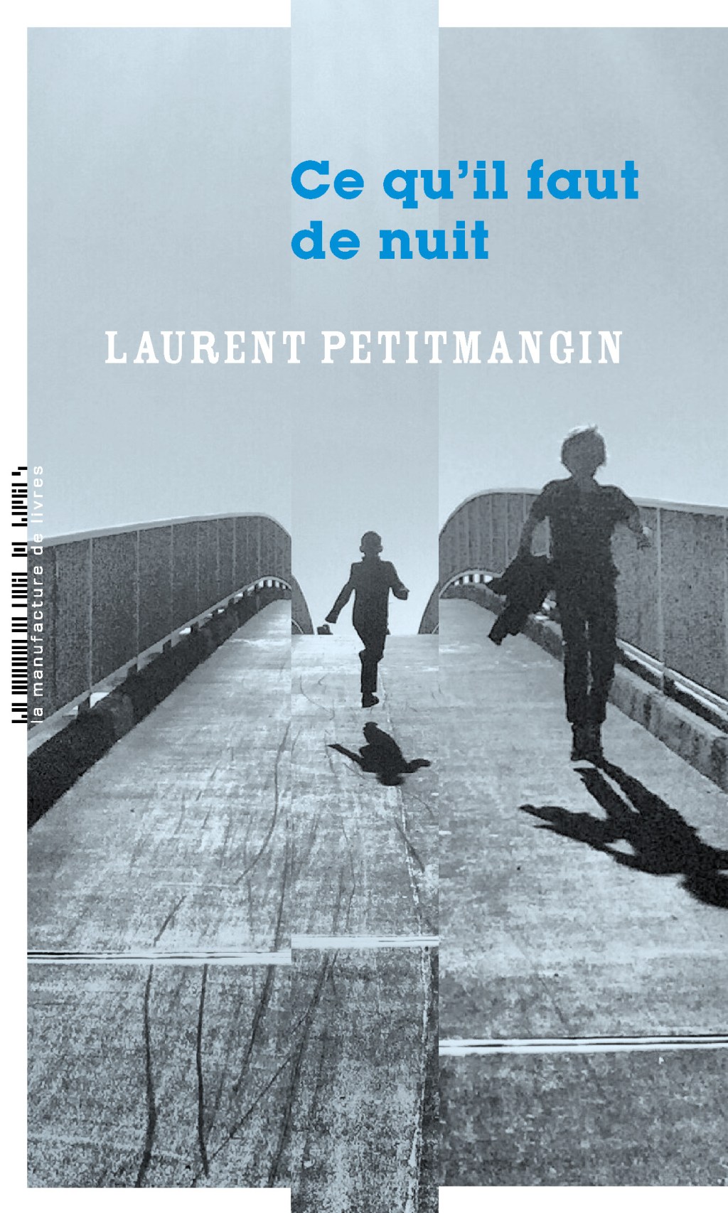 « Ce qu’il faut de nuit » de Laurent Petitmangin : un coup de cœur, un crève-cœur